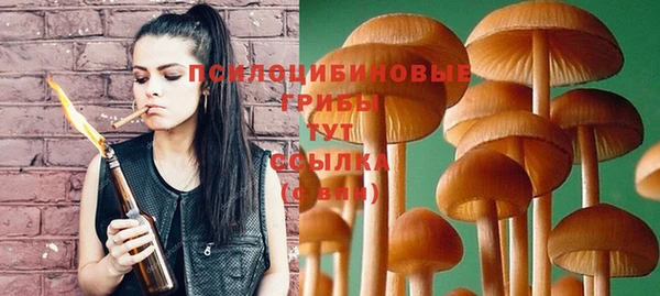 прущая мука Абаза