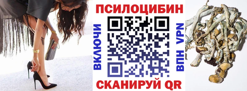 Галлюциногенные грибы Magic Shrooms Дивногорск