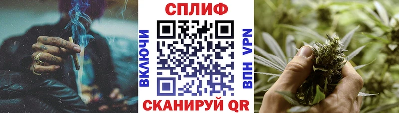 закладка  Дивногорск  Марихуана сатива 